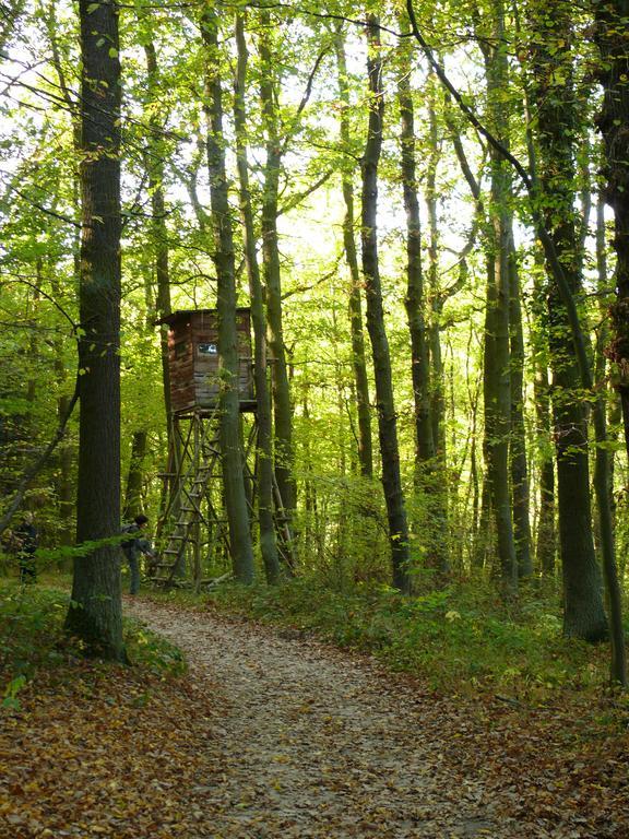 Landpension Bappert Oberwesel Exterior foto